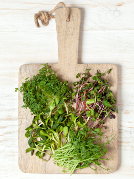 Grow your own sprouts!
