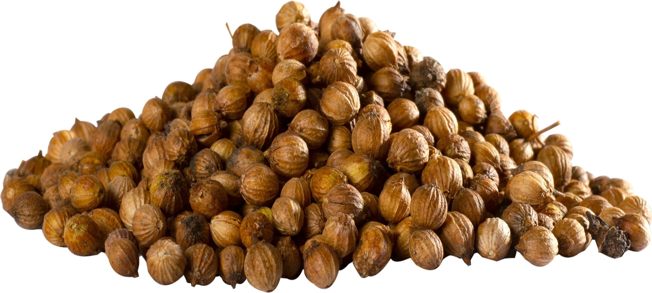 Herbaria Coriandre Entière Bio - 40 g