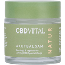 CBD-VITAL Akutbalsam - 50 ml