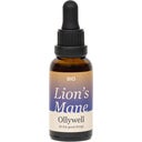 Ollywell Organic Lion's Mane