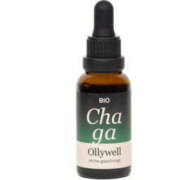 Bio Chaga - 30 ml