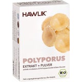 Polyporus Extrakt + Pulver Kapseln Bio