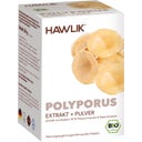 Polyporus Extrakt + Pulver Kapseln Bio - 120 Kapseln