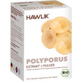 Polyporus ekstrakt + Polyporus v prahu - organske kapsule