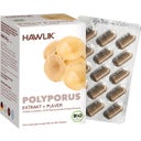 Polyporus Extrakt + Pulver Kapseln Bio - 120 Kapseln