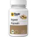 Ingwer Bio, 80 Kapseln
