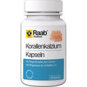 Raab Vitalfood GmbH Coral Calcium - 80 Capsules