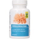 Raab Vitalfood Korallkalcium