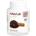 Hawlik Kapsule iz bio Chaga gobo v prahu - 120 kap.