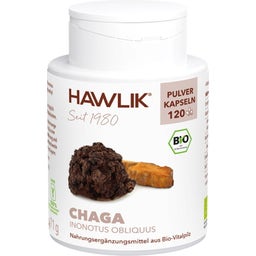 Bio Chaga Pulver Kapseln - 120 Kapseln