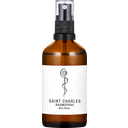 SAINT CHARLES Spray d'Ambiance Wild Roots - 100 ml
