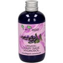 Biopark Cosmetics Hydrolat de Sauge Sclarée Bio - 100 ml