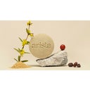 Arista Ayurveda Shampoo Bar Oily Hair - 80 g