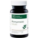 Classic Ayurveda Bhumyamalaki Extract - 60 Capsules