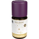 TAOASIS Glittering Lights Fragrance Blend - 5 ml
