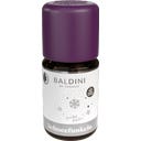 TAOASIS Duftmischung Schneefunkeln - 5 ml