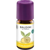 TAOASIS Baldini Citrus Garden Fragrance Blend