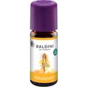 TAOASIS Baldini Yoga® Fragrance Blend - 10 ml
