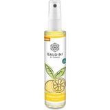 TAOASIS Baldini Citrus Garden Room Spray