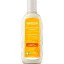 Shampoo Replenish & Care Avena, 190 ml