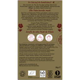 Pukka Winter Warmer Organic Herbal Tea  - 20 Pcs