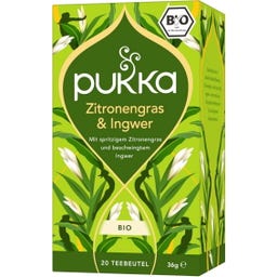 Pukka Infusion 