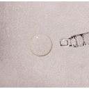 Rosental Organics Night Oil - 20 ml