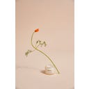 Apeiron Sensitive Care 24h Face Cream - 50 ml