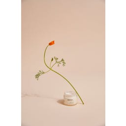 Apeiron Sensitive Care 24h Face Cream - 50 ml