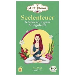Bio Tee Seelenfeuer - Echinacea, Ingwer & Hagebutte - 16 Teebeutel