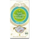 Bio Gutes Bauchgefühl - Honigbusch, Zimt & Rosmarin, 10 Teebeutel (20 g)