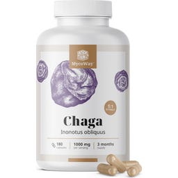 Chaga 1000 mg - Extract 5:1 - 180 Capsules