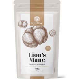 Lion's Mane Powder - Extract 12:1 - 100 g
