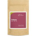 Terra Elements Organiczny proszek Tribulus - 100 g