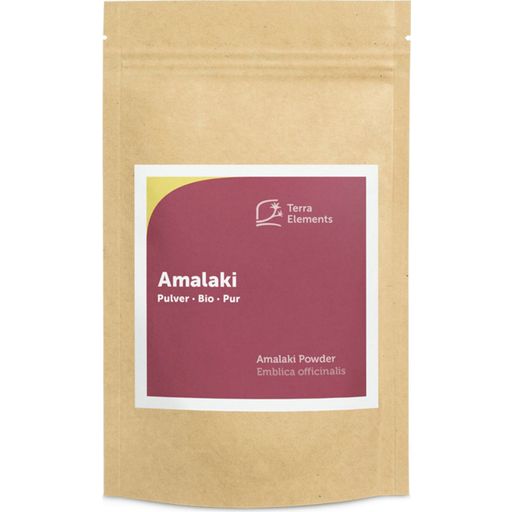 Terra Elements Organic Amalaki Powder - 100 g