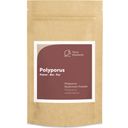 Terra Elements Organiczny proszek Polyporus - 100 g