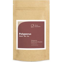 Terra Elements Polyporus Pulver Bio - 100 g