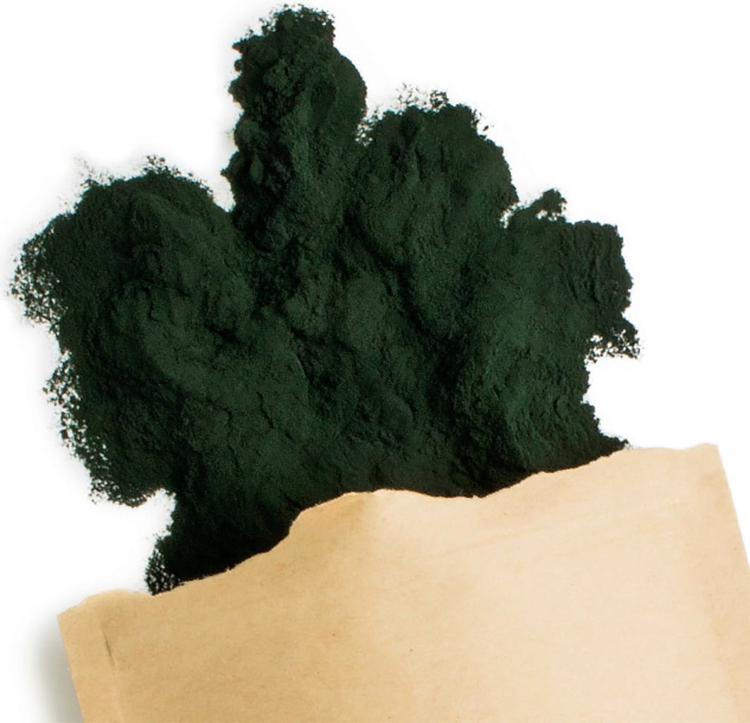 Terra Elements Spiruline Bio - en Poudre - 125 g