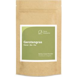 Terra Elements Organic Barley Grass Powder