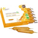 Fleurance Nature Gelée Royale - Ginseng Bio - 10 fiale