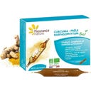 Curcuma-Artiglio del Diavolo-Equiseto Bio - 10 fiale