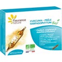 Fleurance Nature Curcuma, Griffe du Diable et Prêle Bio - 10 ampoules
