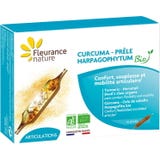 Fleurance Nature Био куркума, дяволски нокът и хвощ