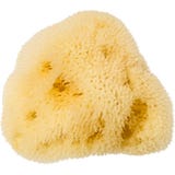 KOSTKAMM Levantiner Seidenschwamm