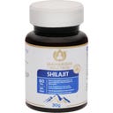 Maharishi Ayurveda Shilajit - 60 таблетка
