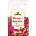 Alnatura Organic Crunchy Granola Berries - 350 g