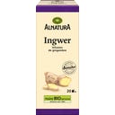 Alnatura Infusion Bio - Gingembre - 20 sachets de thé