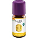 TAOASIS Baldini Feelfreude® Fragrance Blend - 5 ml