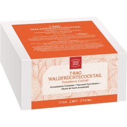 DEMMERS TEEHAUS T-Bag - Cocktail di Frutti di Bosco - 20 bustine