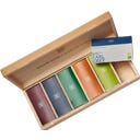 DEMMERS TEEHAUS BIO Quick-T Box Big - 1 Stk